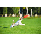 PitchDog - Game flying disc d 24 pink