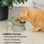 Erhöhter Silikon Katzennapf + mit verstellbarer Neigung