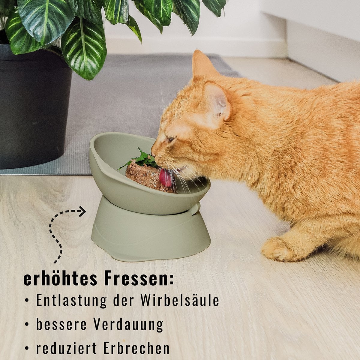 Erhöhter Silikon Katzennapf + mit verstellbarer Neigung