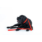 WAUDOG Waterproof Dog Leash - Red