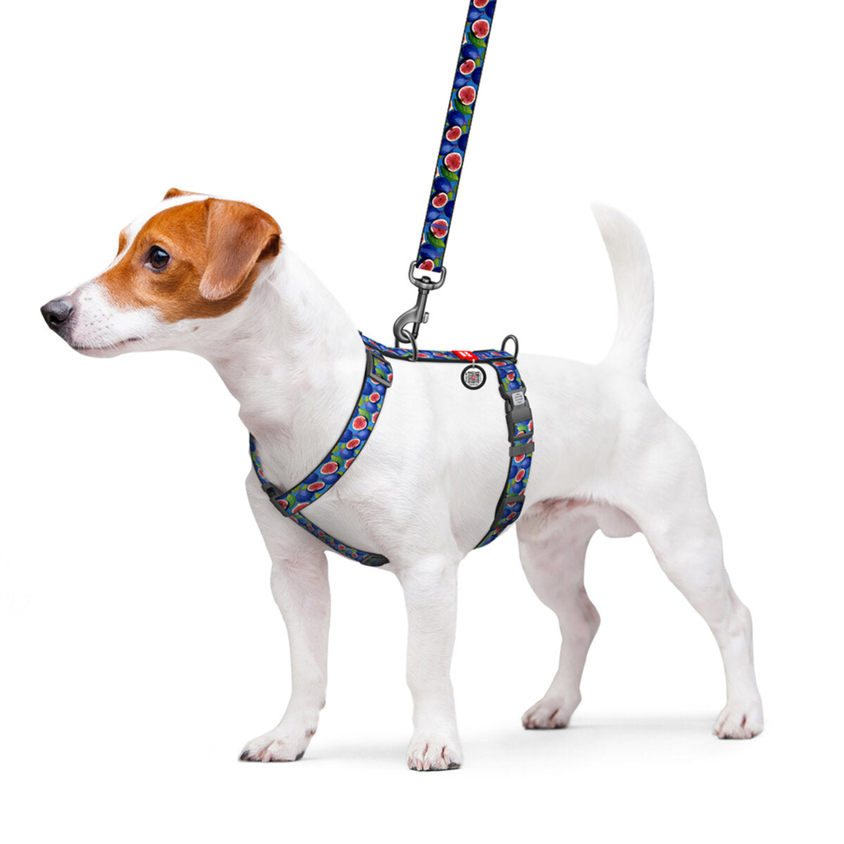 WAUDOG Nylon Dog H-Harness with QR Passport - Fig
