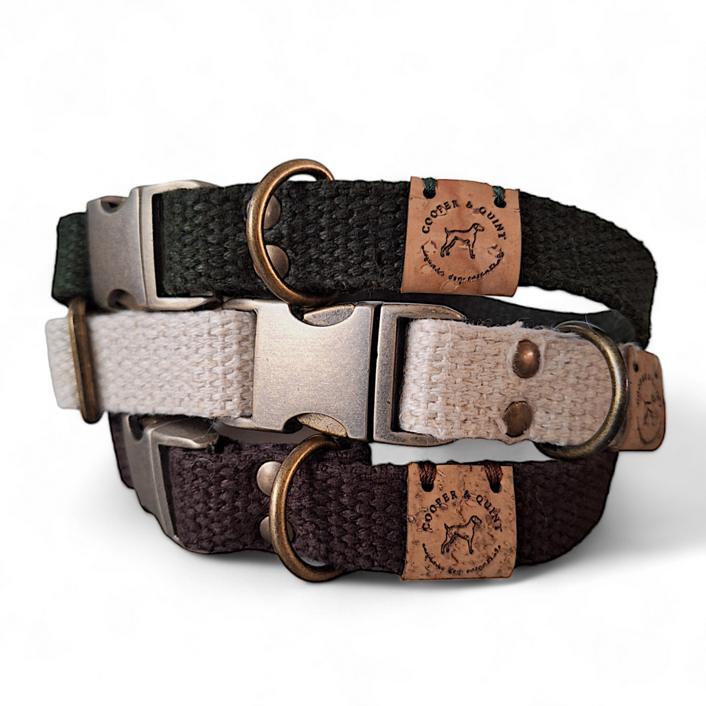 Collar de perro - Cáñamo (Blanquecino)