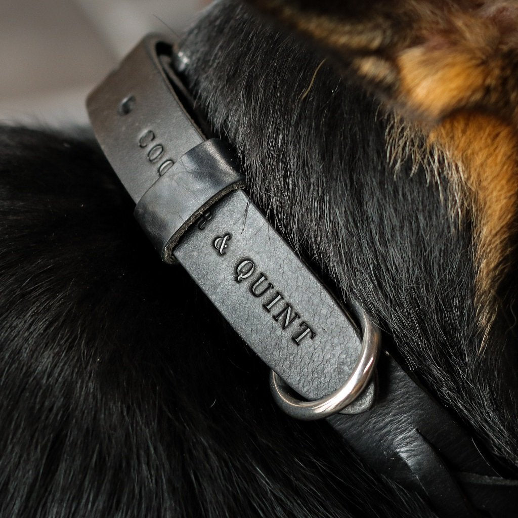 Gedrehte Hundehalskette – Schwarz