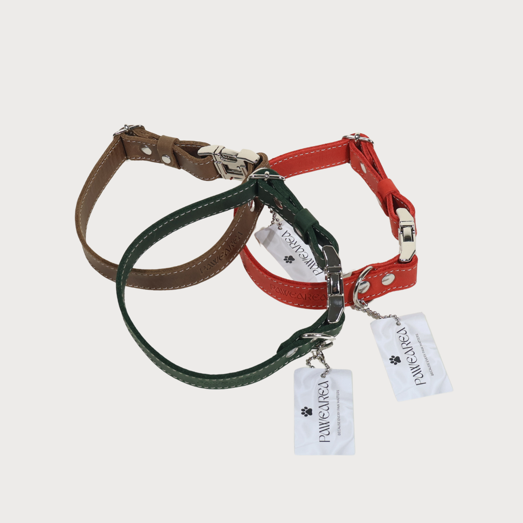 Luxury Leather Dog Collar – PAWEAREA