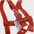 Luxury Leather Dog Harness – PAWEAREA