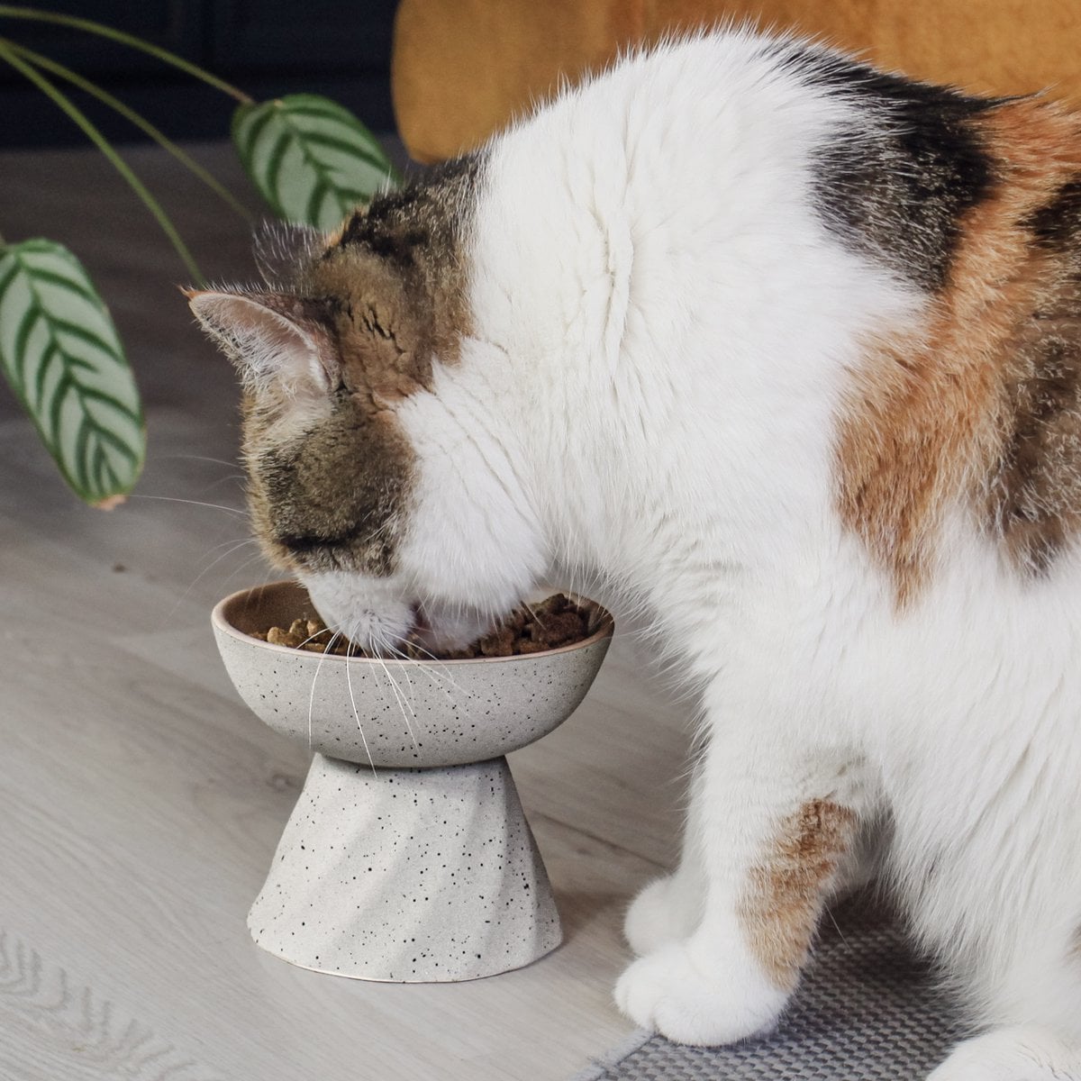 Increased ceramic food bowl for cats in stone optics