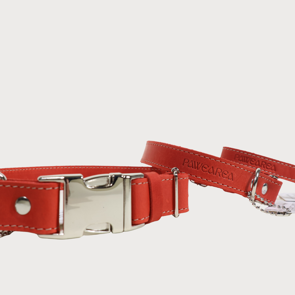 Luxury Leather Dog Collar – PAWEAREA