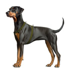 WAUDOG Magnet Dog H-Harness with QR Passport - Khaki