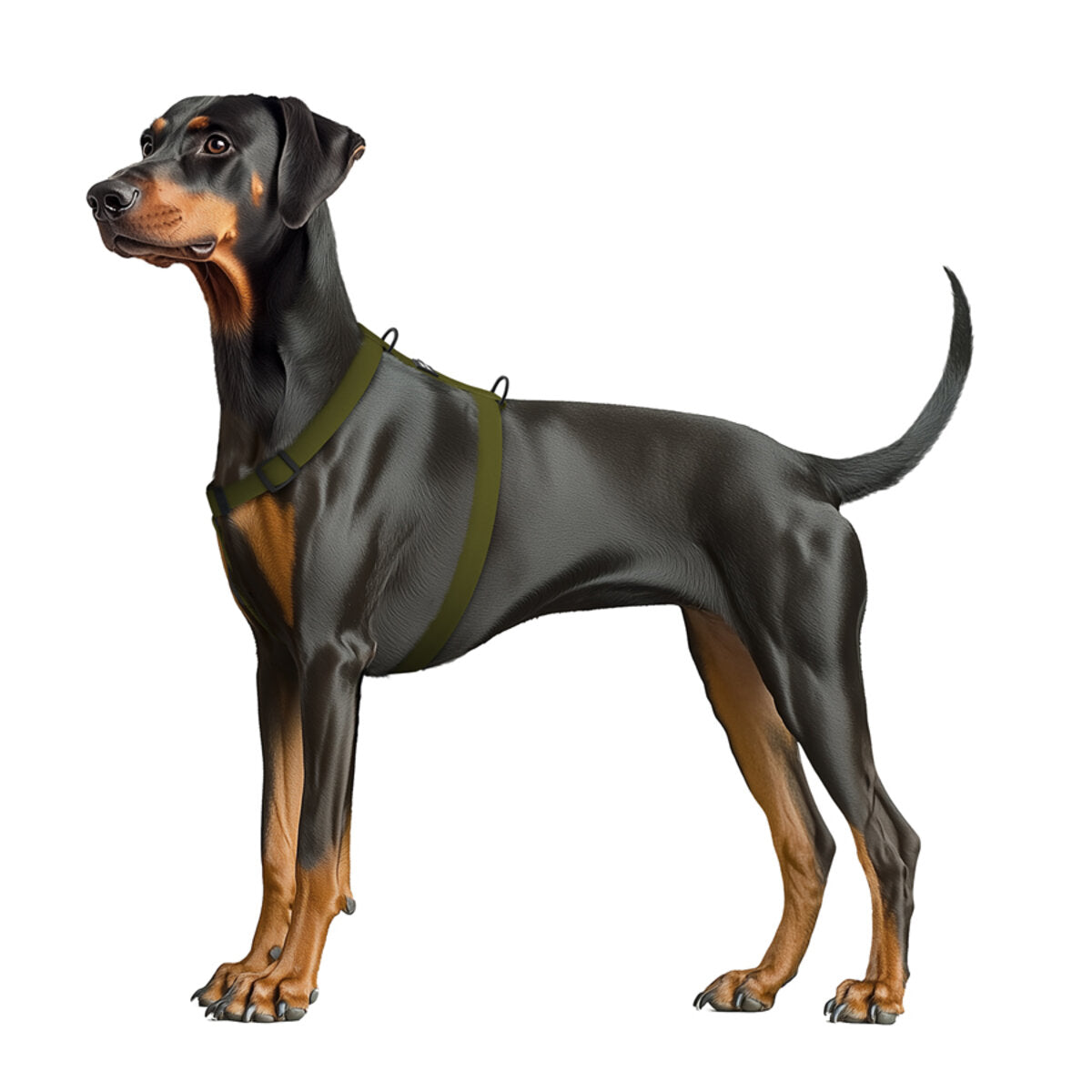 WAUDOG Magnet Dog H-Harness with QR Passport - Khaki