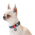 WAUDOG Nylon Dog Collar with QR Passport - Fig
