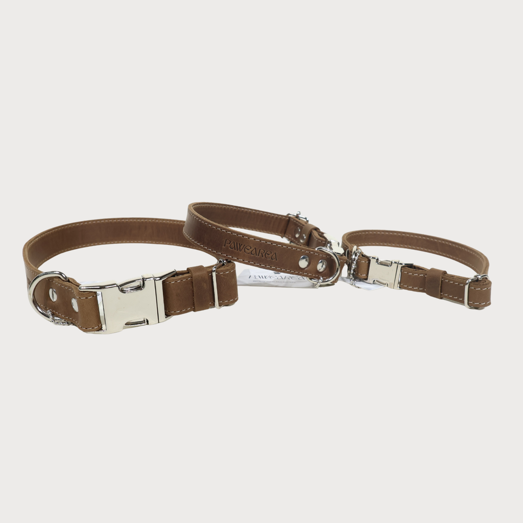 Luxury Leather Dog Collar – PAWEAREA