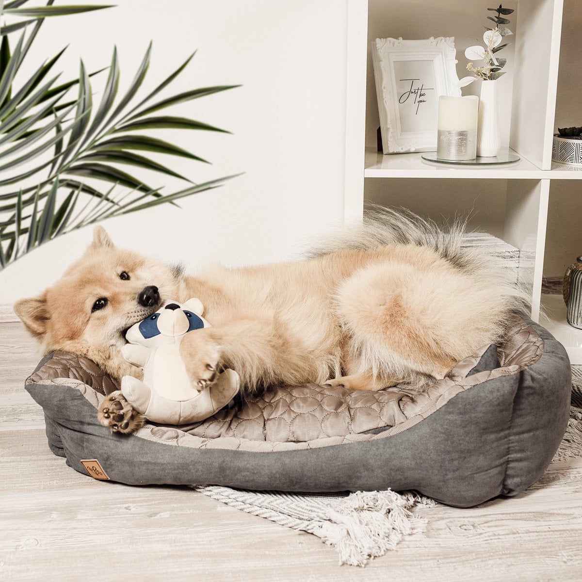 Peluche de perro con chirriador – Mapache