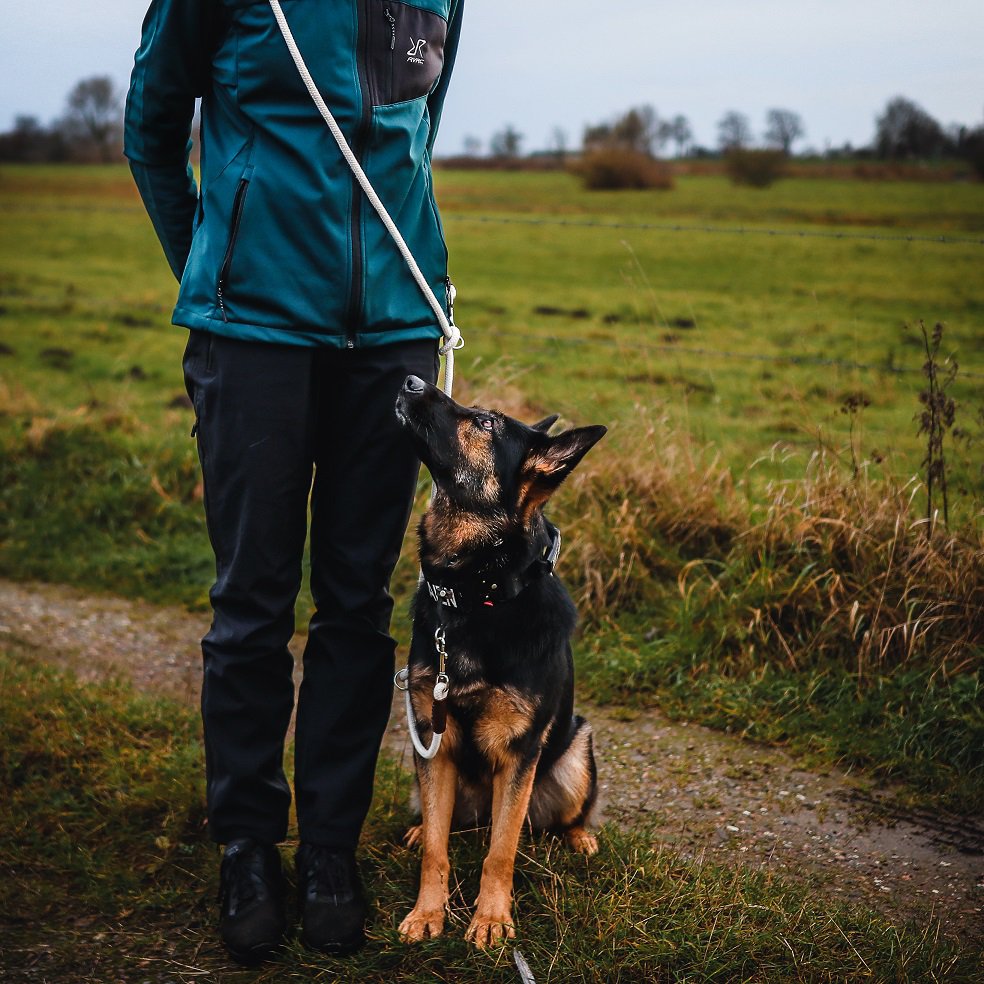 Adjustable Cotton Rope Dog Leash (Ecru)