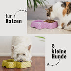 Bamboo Double Bowl for Cats & Small Dogs