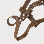 Luxury Leather Dog Harness – PAWEAREA