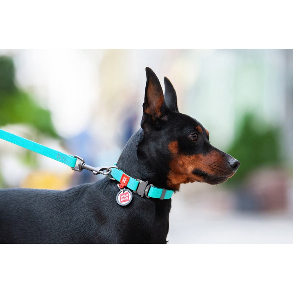 WAUDOG Waterproof Dog Collar with QR Passport - Menthol