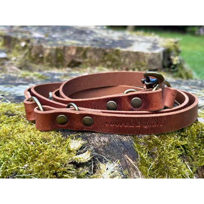 Verstellbare Hundeleine aus Leder – Braun