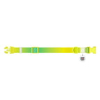 WAUDOG Nylon Dog Collar with QR Passport - Gradient - Light green