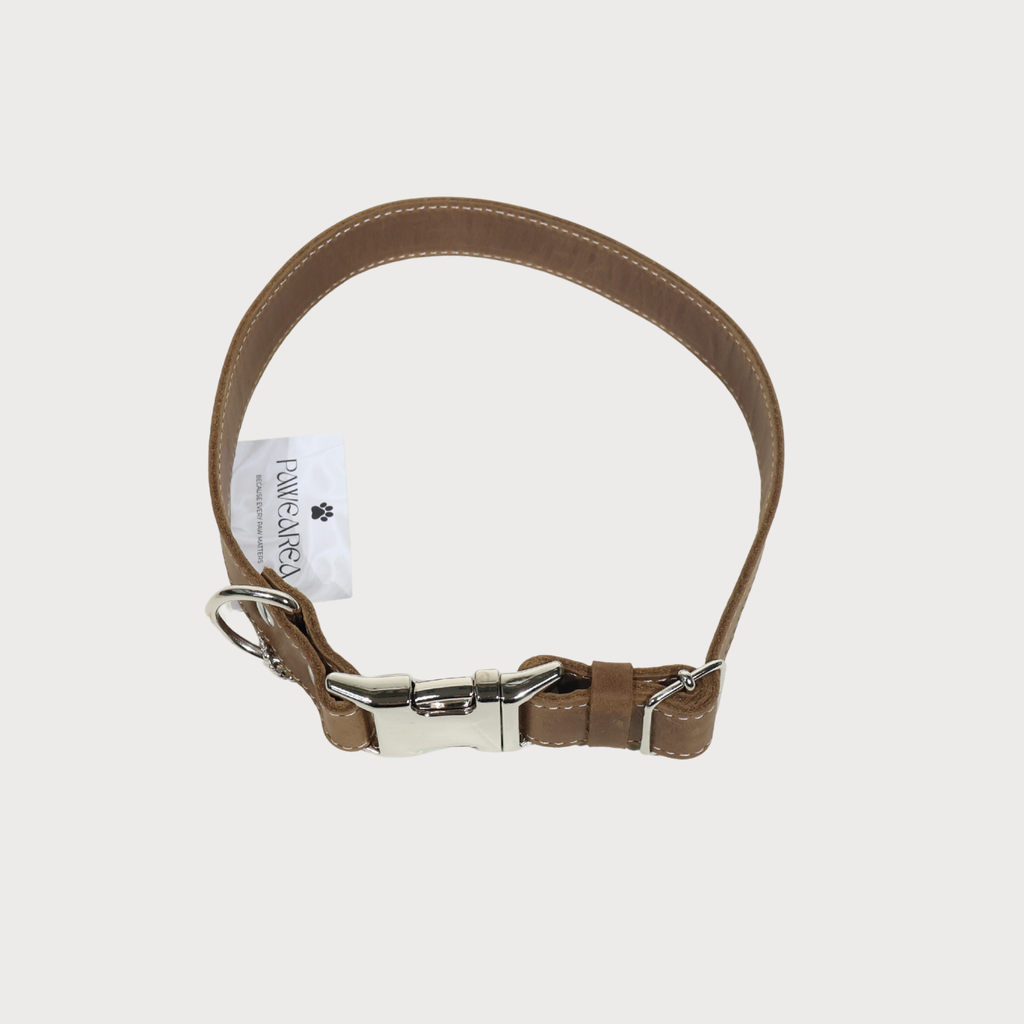 Luxury Leather Dog Collar – PAWEAREA
