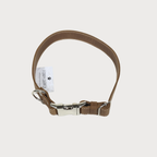 Luxury Leather Dog Collar – PAWEAREA