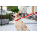 WAUDOG Waterproof Dog Leash - Red
