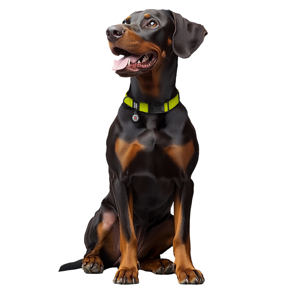 WAUDOG Magnet Dog Collar with QR Passport - Lemon