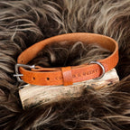 Hundehalsband aus Leder – Farbe Kamel