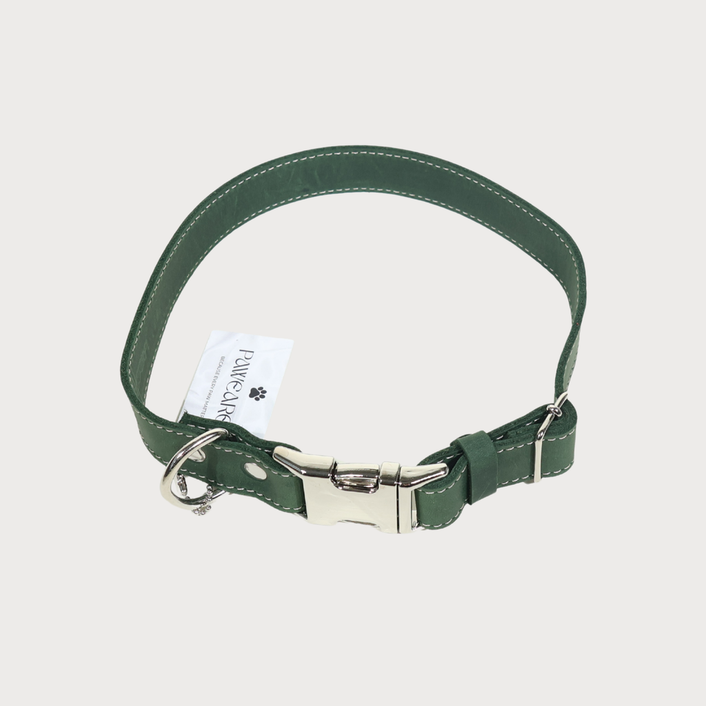 Luxury Leather Dog Collar – PAWEAREA