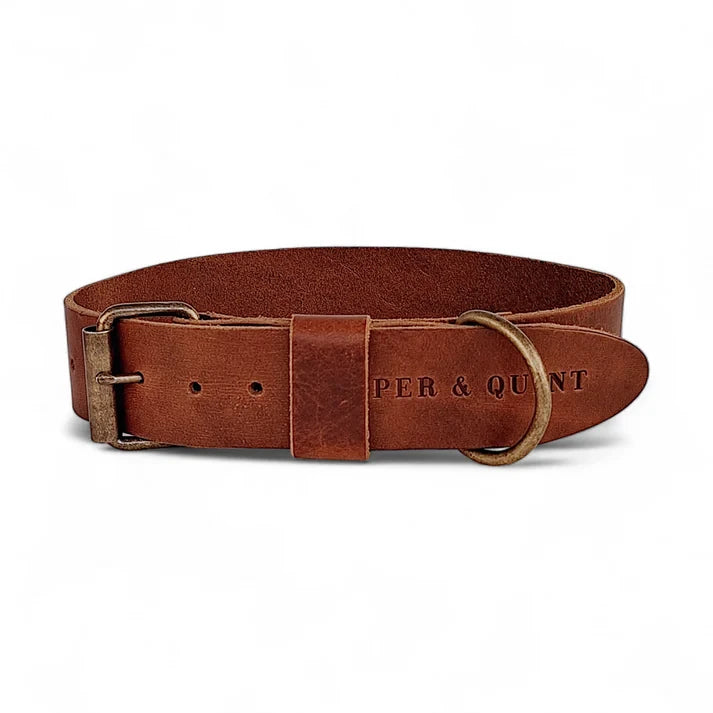 Breites Lederhalsband für Hunde – Dunkelbraun