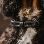 Gedrehte Hundehalskette – Schwarz