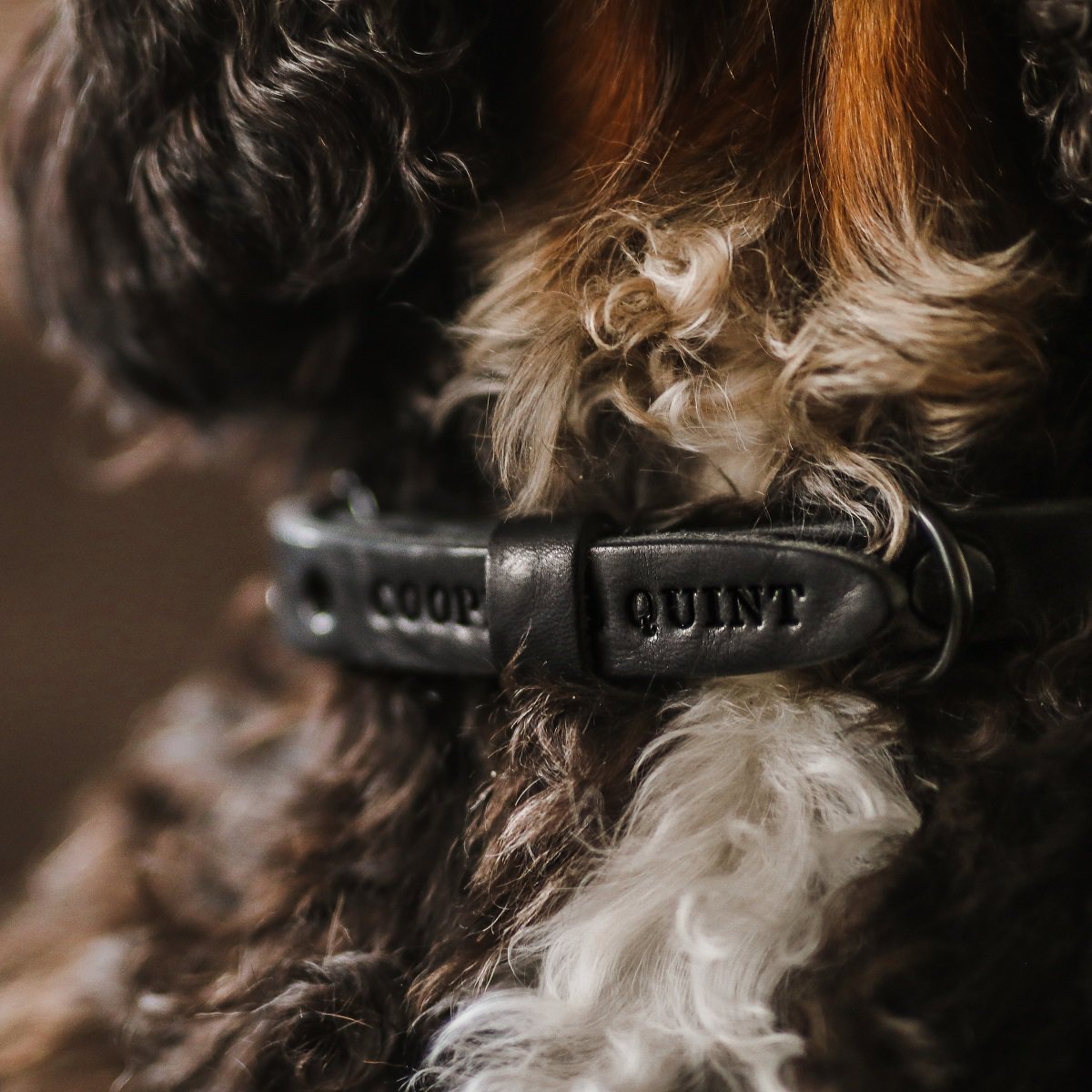 Gedrehte Hundehalskette – Schwarz