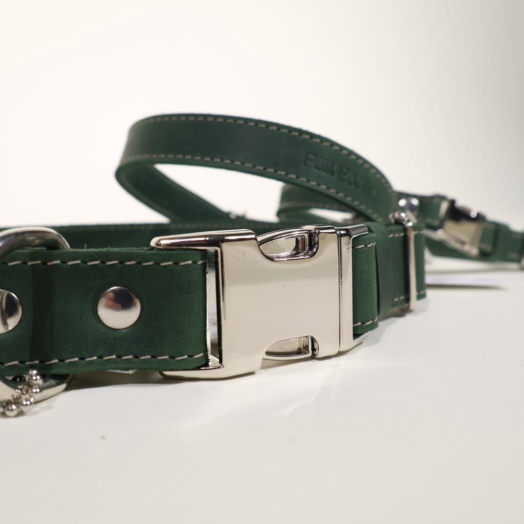 Luxury Leather Dog Collar – PAWEAREA