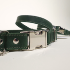 Luxury Leather Dog Collar – PAWEAREA