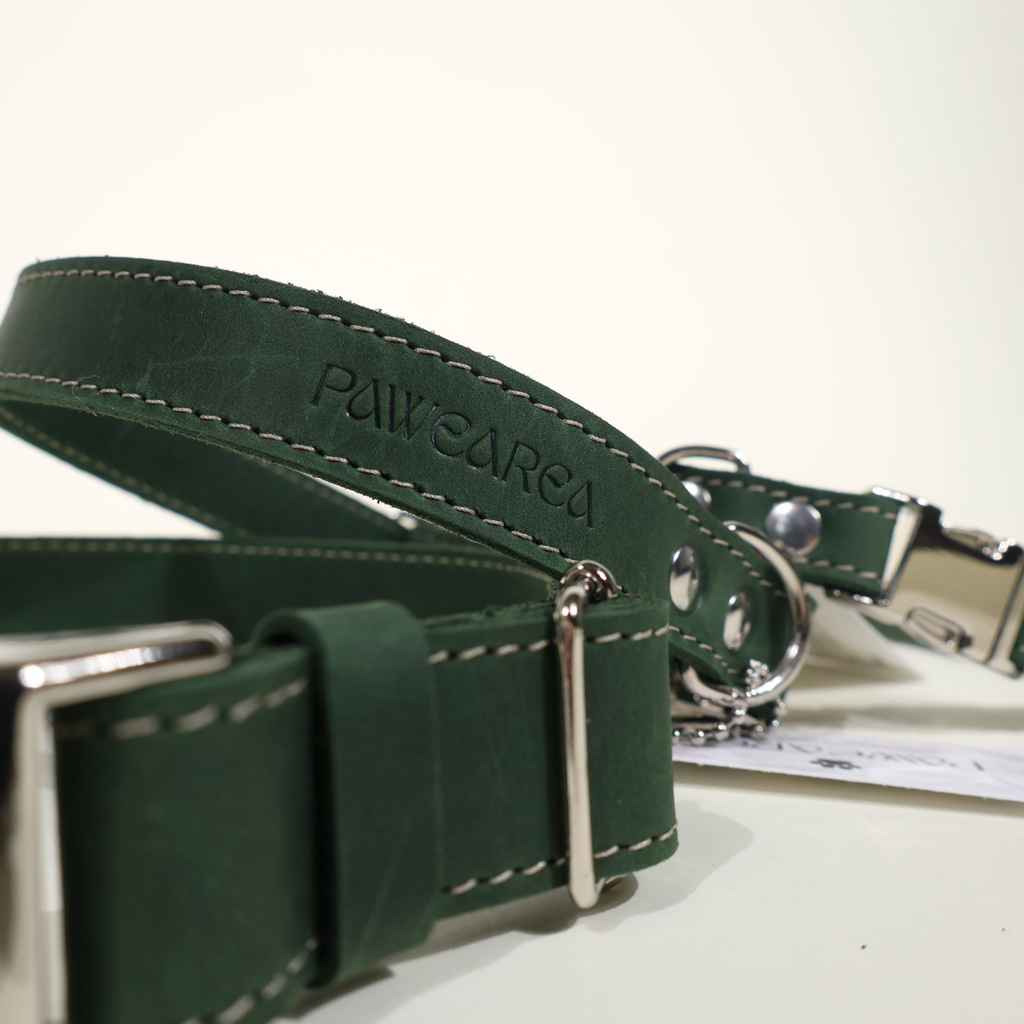 Luxury Leather Dog Collar – PAWEAREA