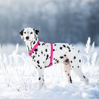 WAUDOG Waterproof Dog H-Harness with QR Passport - Pink