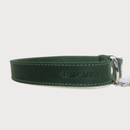 Luxury Leather Dog Collar – PAWEAREA