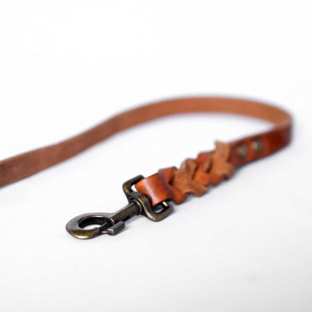 Gedrehte Hundeleine – Farbe Camel