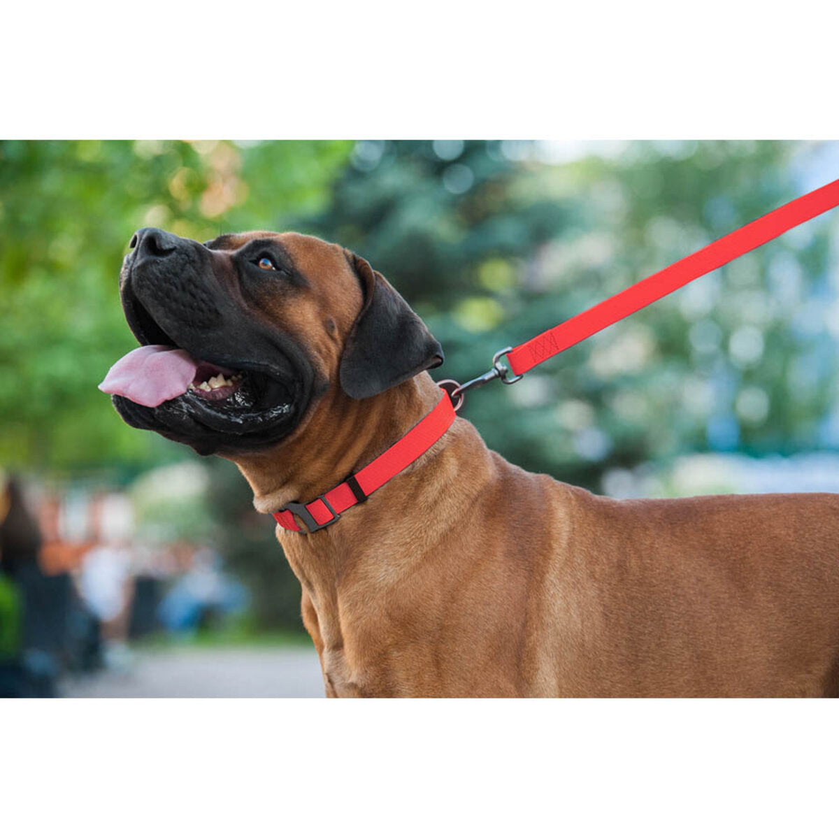 WAUDOG Waterproof Dog Leash - Red