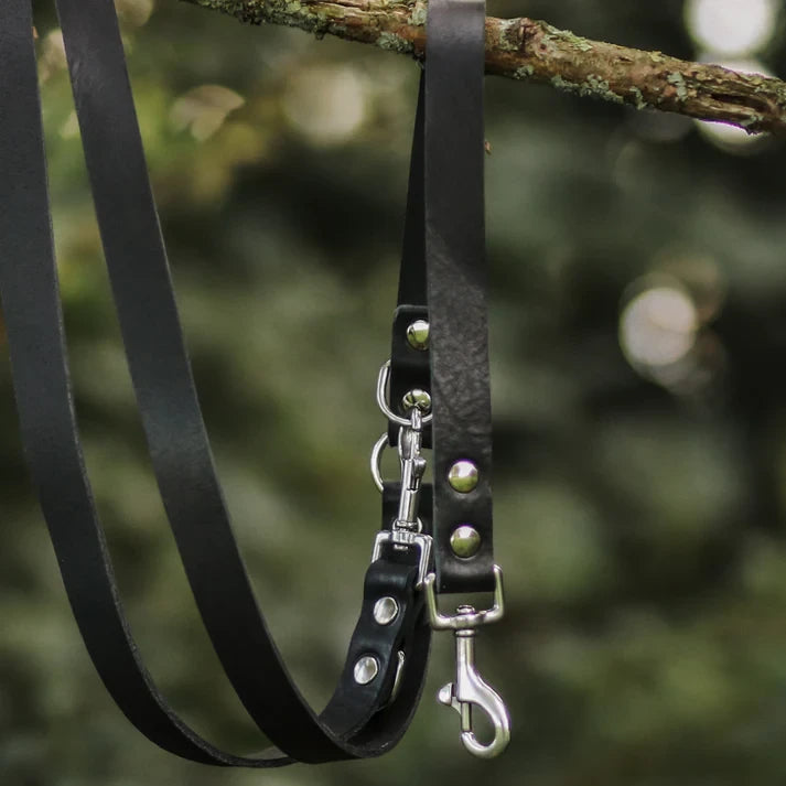Verstellbare Hundeleine aus Leder – Schwarz