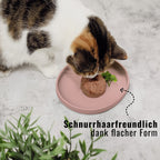 Cat Bowl – Silicone Shallow Whisker-Friendly