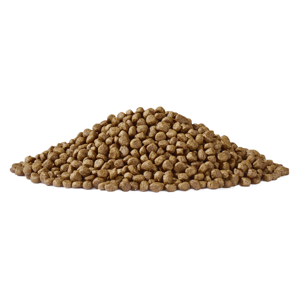 Dogs’n Tiger Junior Premium Katzenfutter, Flitzpiepe, Kitten Trockenfutter, Getreidefrei, Lachs & Truthahn