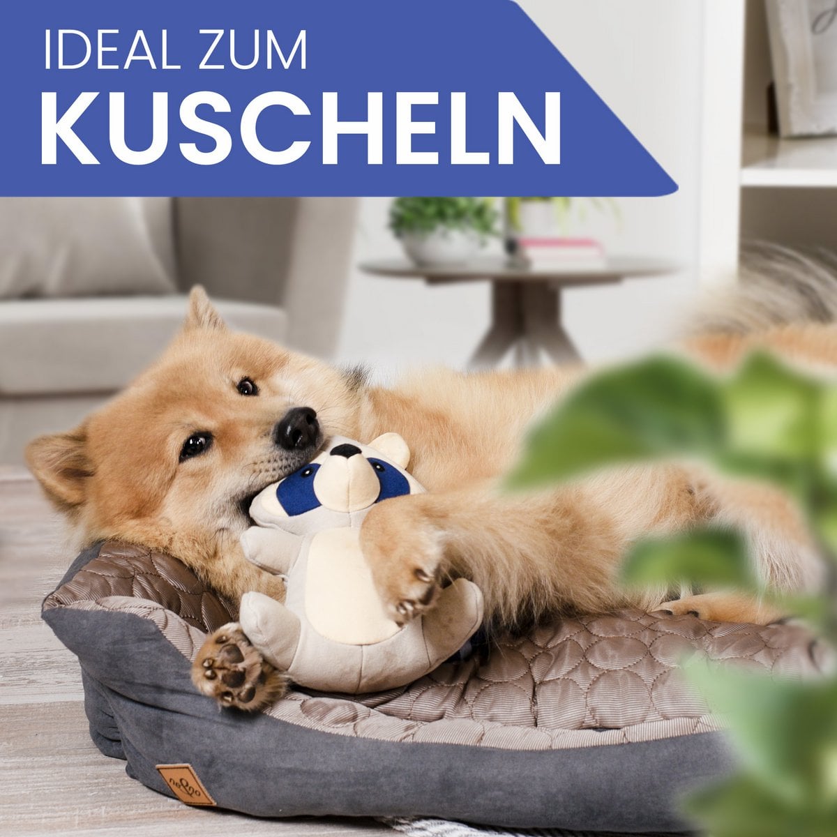 Peluche de perro con chirriador – Mapache