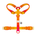 WAUDOG Nylon Recycled Dog H-Harness with QR Passport - Gradient - Orange