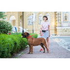 WAUDOG Waterproof Dog Leash - Red
