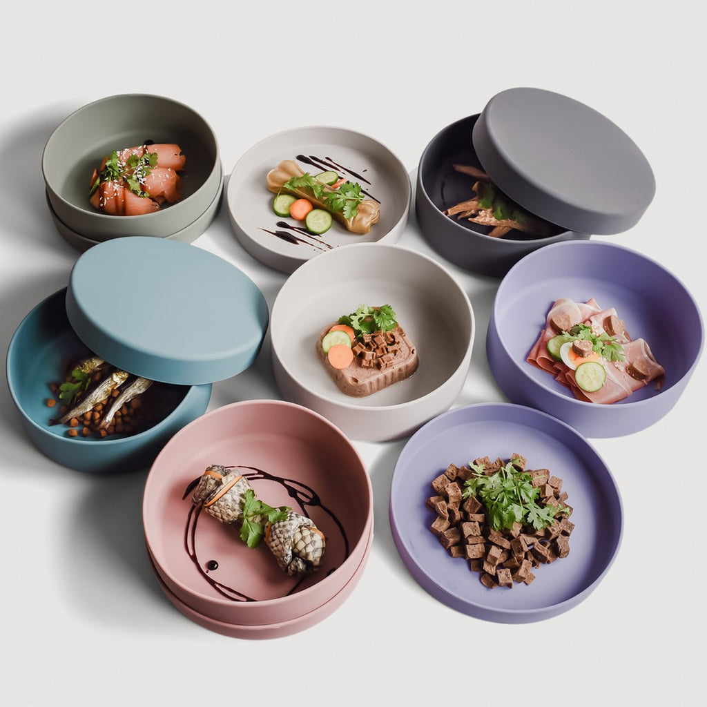 Pet Bowl – Silicone 3-in-1 with Lid