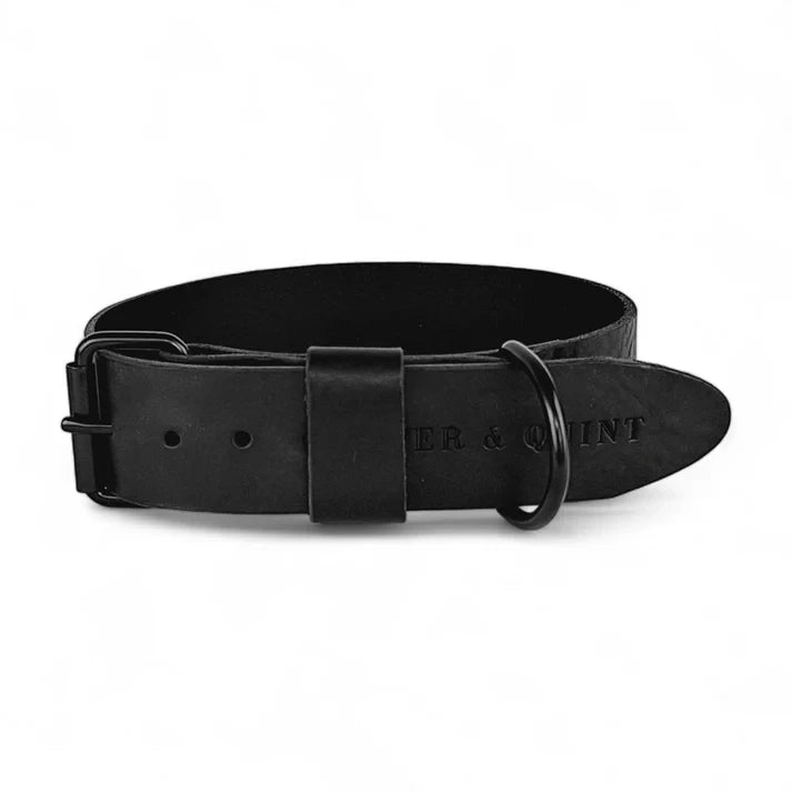 Hundehalsband – Breit Leder Schwarz