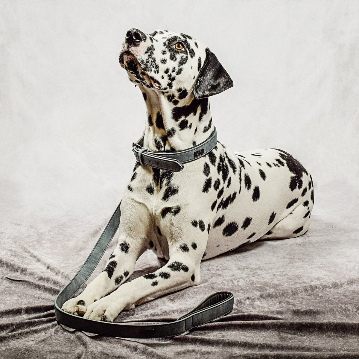 Hundehalsband- & Leinen-Set – Veganes Leder Blaugrau & Anthrazitgrau