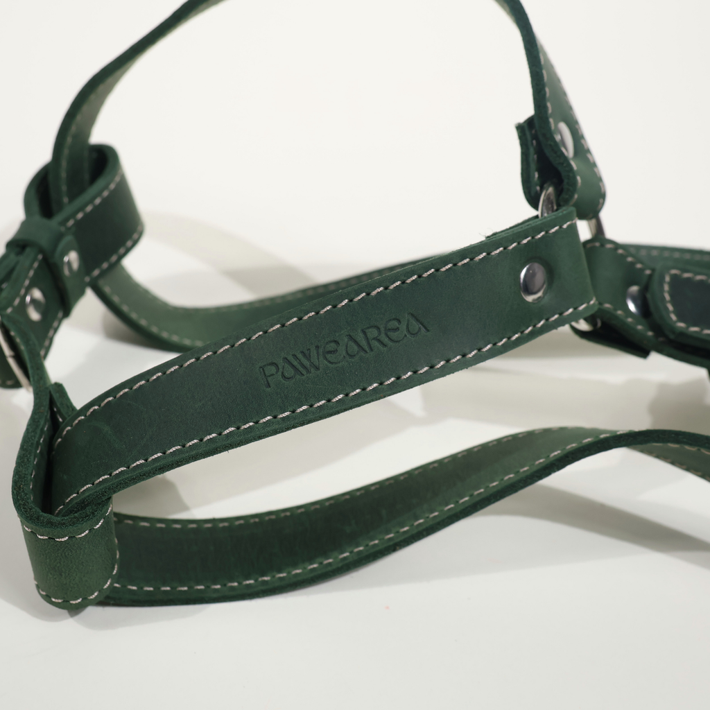 Luxury Leather Dog Harness – PAWEAREA