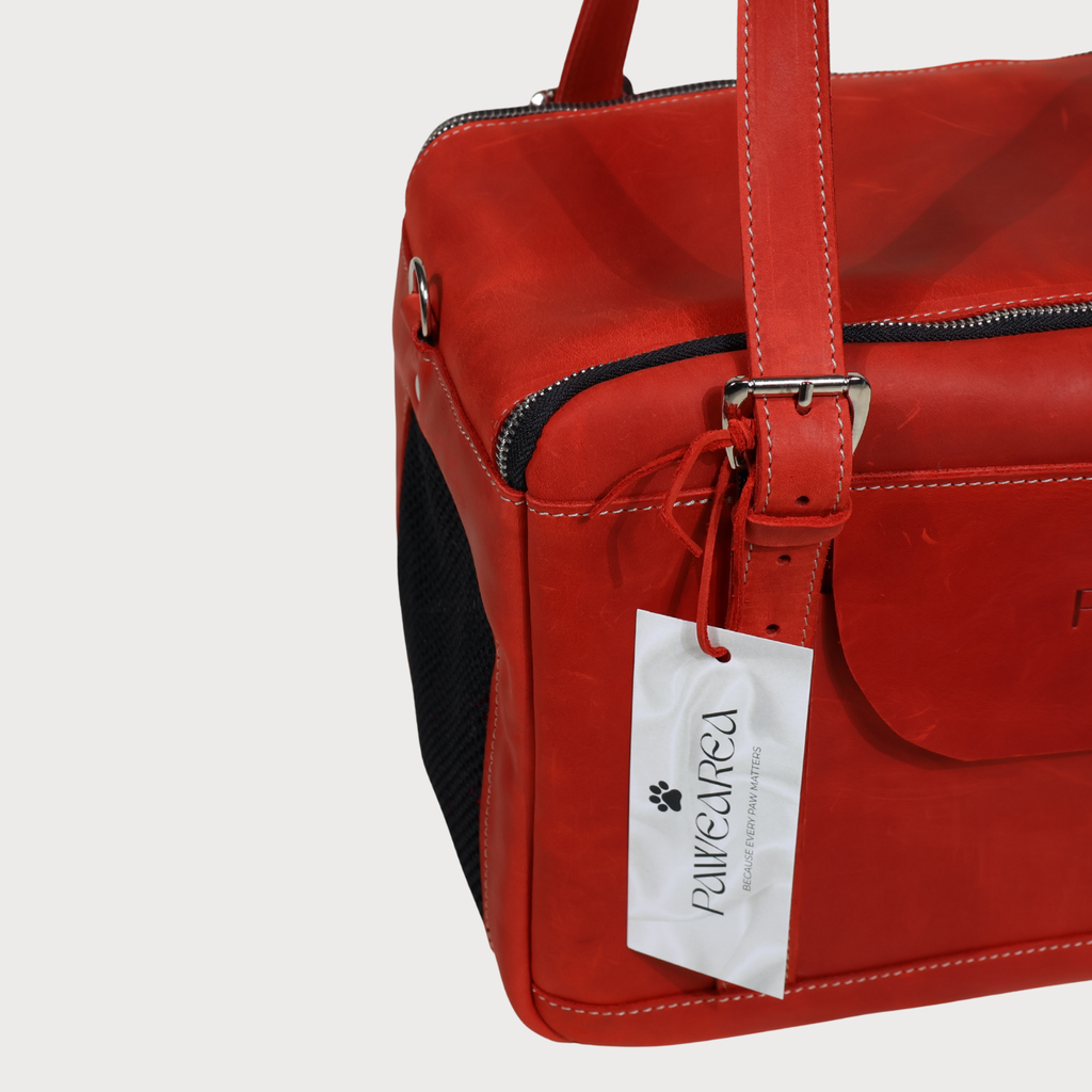 Luxury Leather Dog Carrier – PAWEAREA