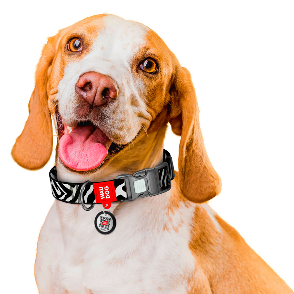 WAUDOG Nylon Dog Collar with QR Passport - Zebra
